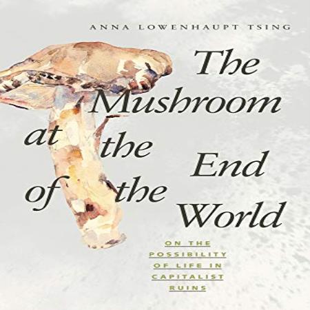 THE MUSHROOM AT THE END OF THE WORLD